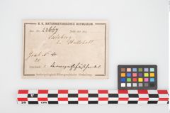 Etikett zu Bronzegefäßhenkel (NHMW-PRAE-023667)